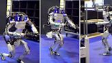 Conoce a Atlas, el robot humanoide que trabaja y baila mientras sostiene objetos pesados