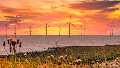 What will the UK general election mean for renewables?