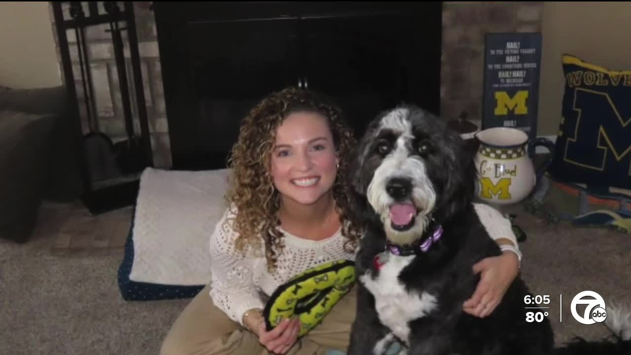 Teacher suing principal, school district, accusing them of stealing dog she was encouraged to adopt