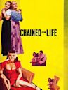 Chained for Life (1952 film)