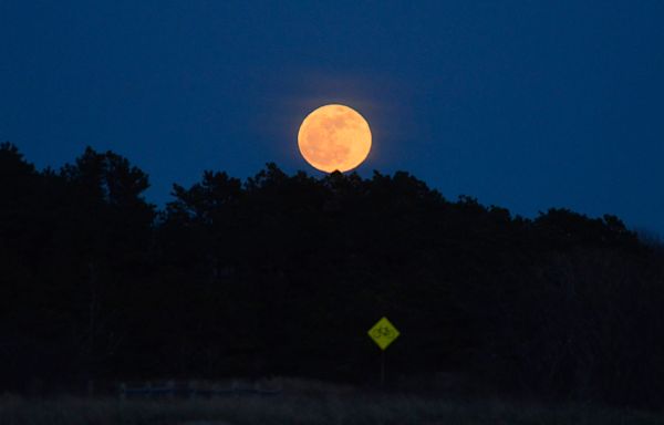 When is the next full moon? What is the Flower Moon? What to know about May's full moon
