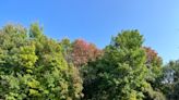 Vermont's fall foliage season is developing slowly but is still on track for lots of color.