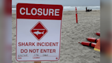 California shark attack forces closure of Del Mar beach after man receives significant injuries to torso, arm