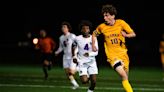 Boys soccer: Rhinebeck edges Seward, advancing to Section 9 Class C final