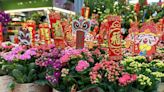 台北花市春節前108小時不打烊 買這些花會發財！吉祥過好年