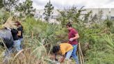 Once trashed, now saved: Students preserve rocky pineland next to their school