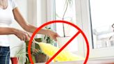 17 cleaning myths that are only making your home dirtier