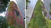 Photos show how Singapore's iconic 'green hotel' has been overrun by plants in the past 6 years