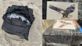 $1 million worth of cocaine found on Amelia Island beach