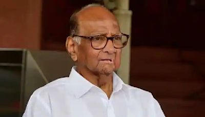 'Maharashtra Is Now Known For Its Potholes,' Says NCP (SP) Chief Sharad Pawar