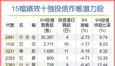 季底作帳潛力大 績效前十基金逆勢買股 - B2 法人看市 - 20240905