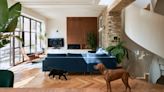 How to dog-proof a living room – 6 tips from designers (and pet owners) who have done it successfully