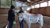 Pony painting celebrates 50 years in full colour