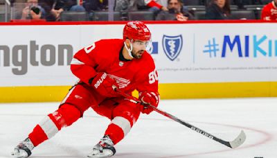 Alumni: QMJHL Star Returns To Red Wings