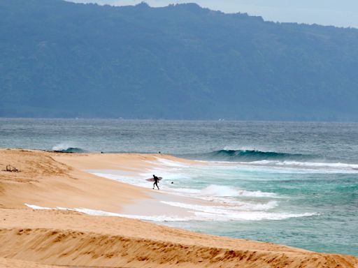 Un socorrista de Hawai muere en un ataque de tiburón cuando hacía surf en Oahu