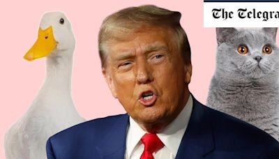 The truth behind Trump’s pet-eating conspiracy theory