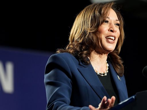 Wall Street Donors Plan Get-Rich-Quick Ideas for Harris Bid