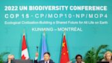 COP15 chega a acordo para frear declínio da natureza até 2030