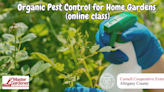 Cornell Cooperative Extension plans pest control class