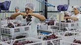 Mincetur registra incremento del 12,8 % en empresas exportadoras