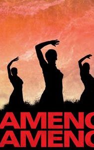 Flamenco Flamenco