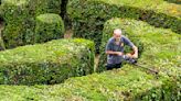 Gardeners have their work cut out trimming the world's biggest hedge