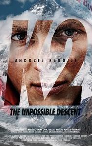 K2: The Impossible Descent