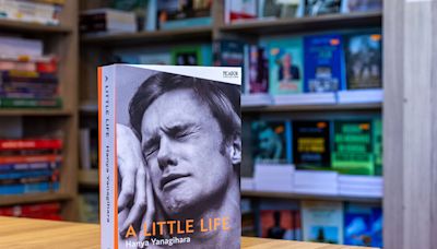 An analysis of Hanya Yanagihara's A Little Life