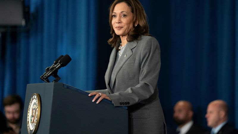 Democratic consensus solidifies around Harris, should Biden step aside