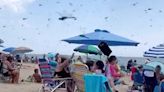Watch terrifying moment biblical plague of dragonflies swarms busy tourist beach