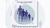 Fact Check: Is This Graph Comparing Average Male Height by Country Accurate?