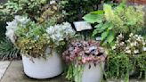 Matthew Stevens: Choose thrills, fills and spills for colorful container gardening