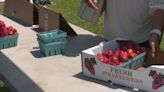 Everything you need to know about the upcoming 83rd Annual Strawberry Festival