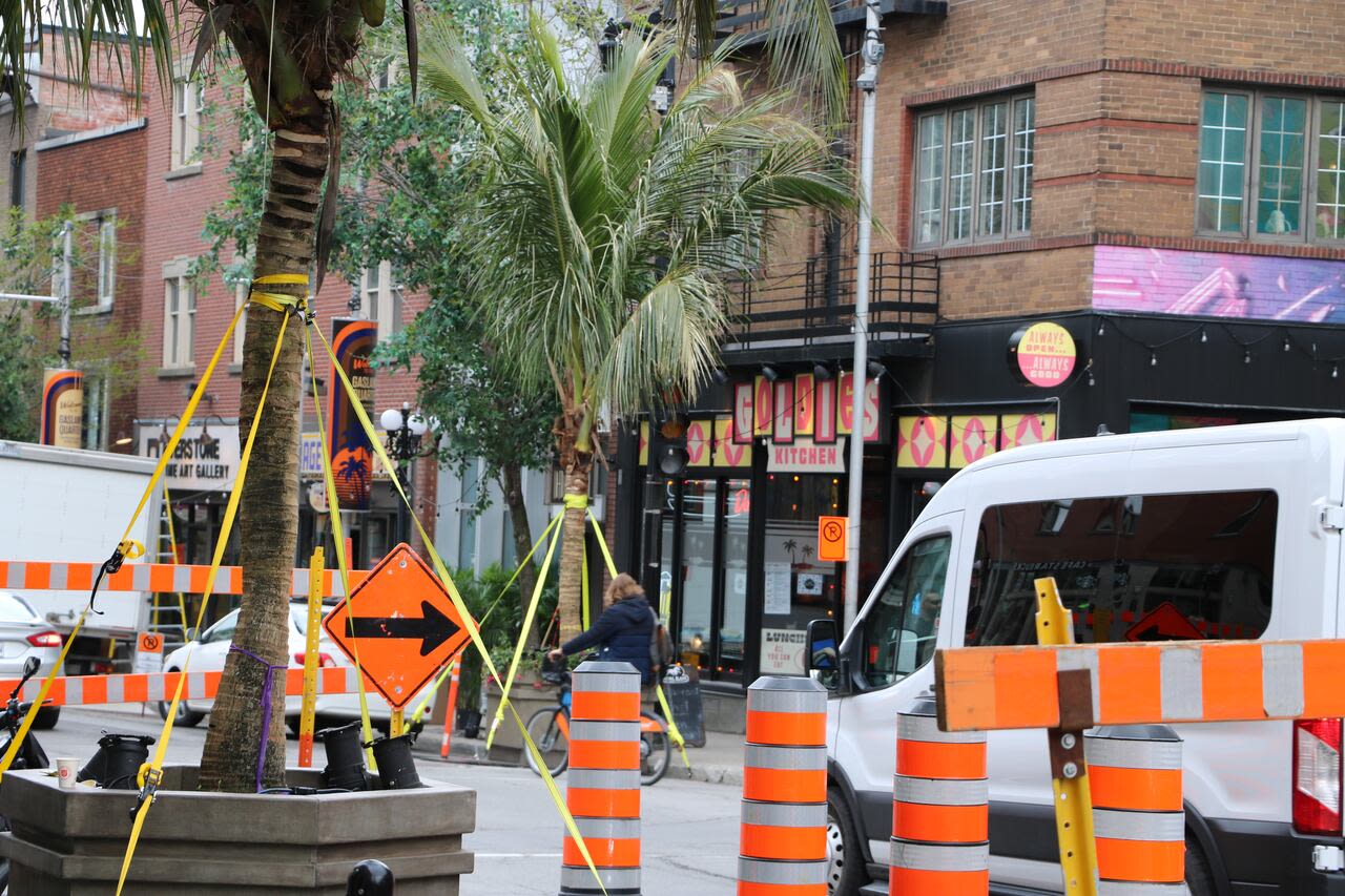 Palm trees on Montreal's Ste-Catherine Street as film crew takes over the Village