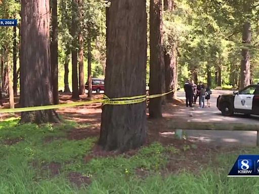 Man arrested for homicide after Santa Cruz park stabbing