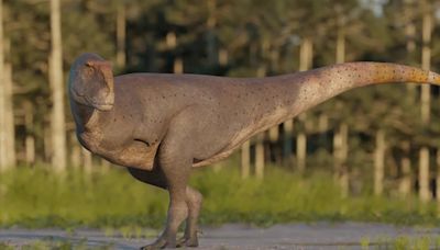 Hallan un dinosaurio carnívoro que vivió en la actual Argentina hace 69 millones de años