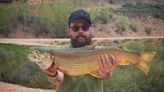 Idaho Angler Lands Record Breaking Tiger Trout