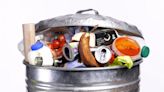 Food waste reduction key to climate, hunger crisis: Report