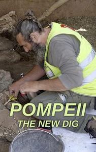 Pompeii: The New Dig