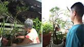 CCTV footage shows neighbour sabotaging man's plants -- but she says it's his own fault