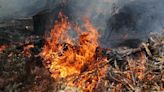 Guatemala en "situación complicada" por 75 incendios activos - El Diario NY