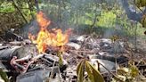 Aviación Civil confirma muerte de pilotos de avioneta que cayó en Pacífico Sur | Teletica