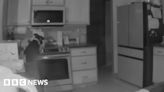 Watch: Dog accidentally turns on stove and sets fire to home