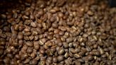 Roasting with passion: Equiano Coffee Roasters and artisanal coffee in Eugene