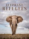 Elephant Refugees