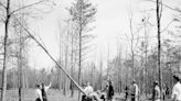 Inside the Civilian Conservation Corps, the New Deal agency that employed 2.5 million men to preserve national forests