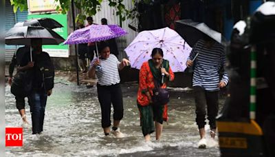 Maharashtra: Amid heavy rainfall prediction, holiday for schools in parts of Vidarbha and Raigad | Mumbai News - Times of India