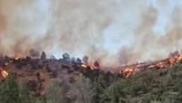 US: Rapidly Spreading ‘French Fire’ Prompts Evacuations In Mariposa County, California