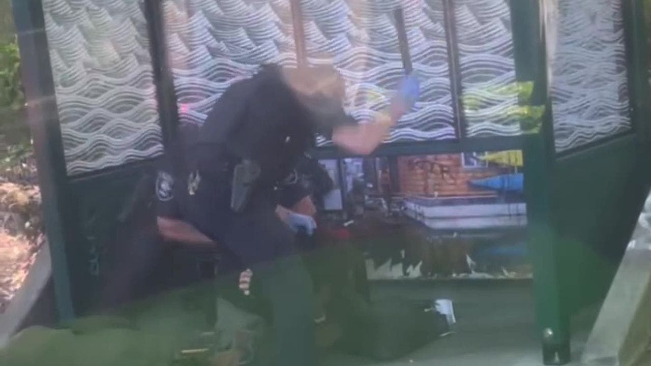 2 Seattle police officers caught on video beating suspect at bus stop