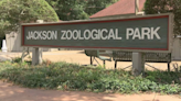 USDA cites Jackson Zoo for poor sanitation, food storage